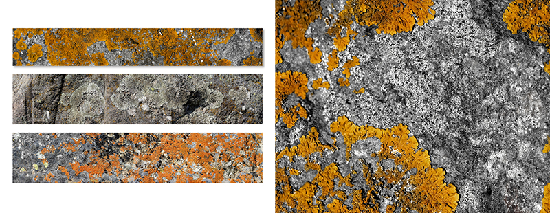 My bookphotoservice22